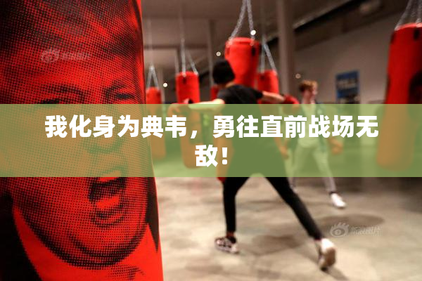 我化身为典韦，勇往直前战场无敌！