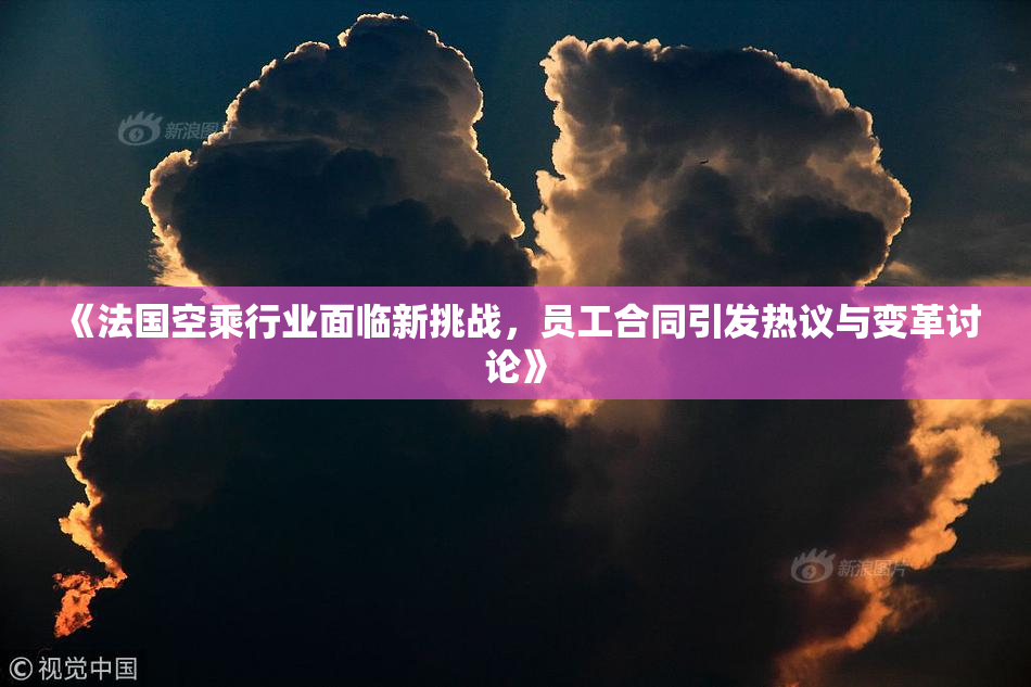 《法国空乘行业面临新挑战，员工合同引发热议与变革讨论》