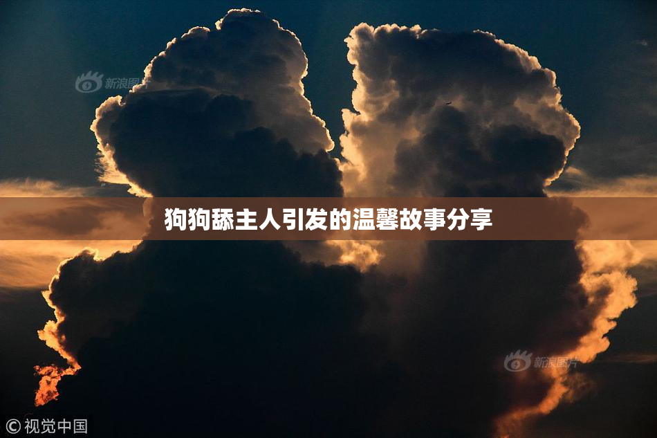 狗狗舔主人引发的温馨故事分享