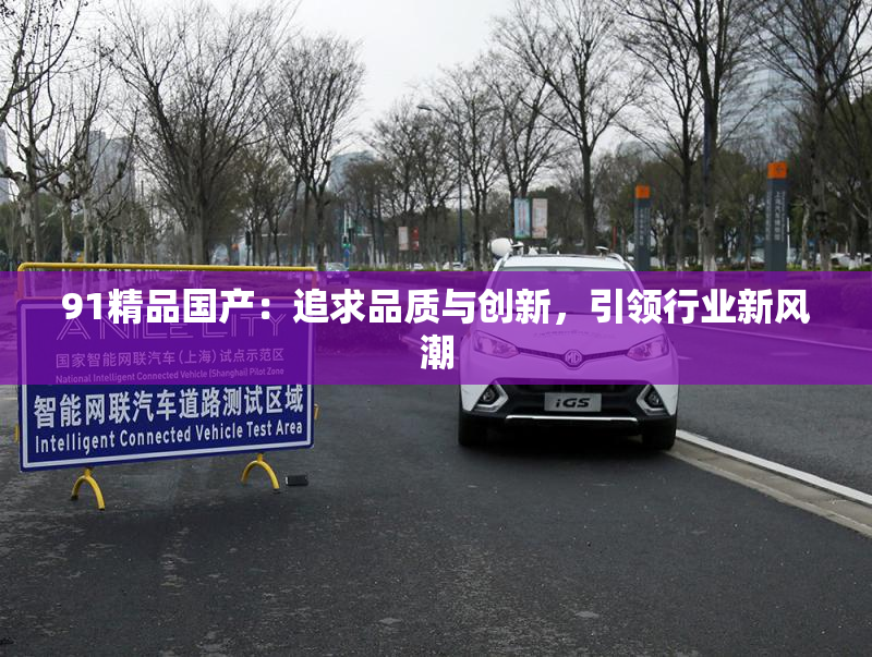 91精品国产：追求品质与创新，引领行业新风潮