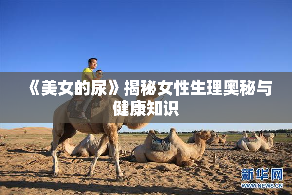 《美女的尿》揭秘女性生理奥秘与健康知识