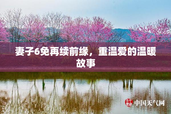 妻子6免再续前缘，重温爱的温暖故事