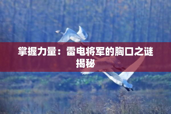 掌握力量：雷电将军的胸口之谜揭秘