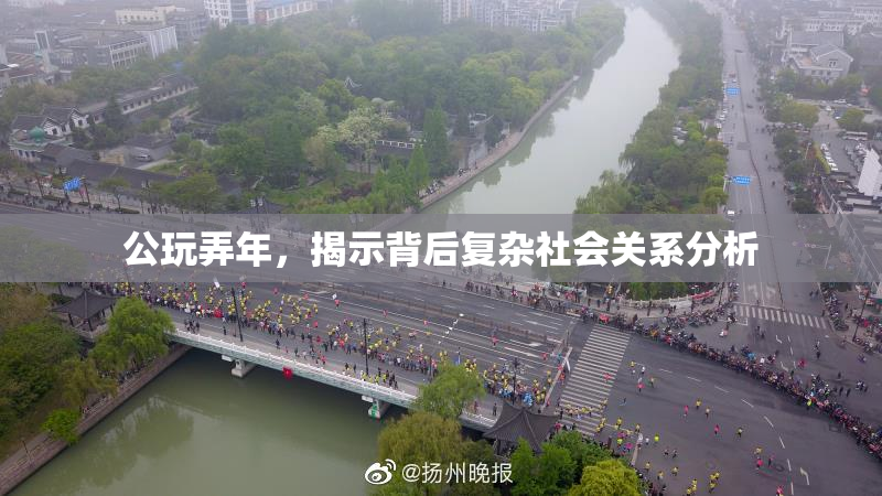公玩弄年，揭示背后复杂社会关系分析