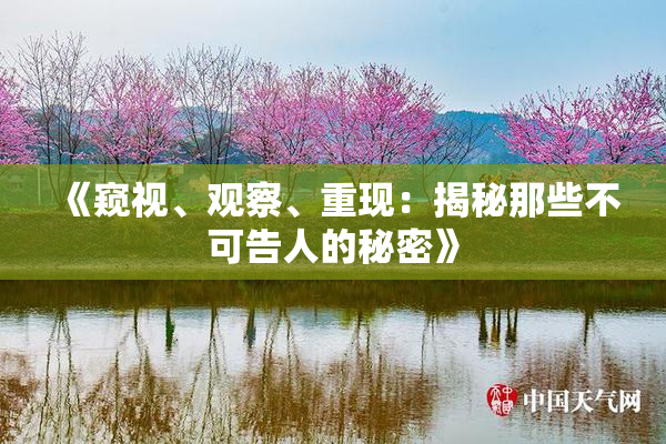 《窥视、观察、重现：揭秘那些不可告人的秘密》