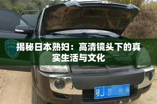 揭秘日本熟妇：高清镜头下的真实生活与文化