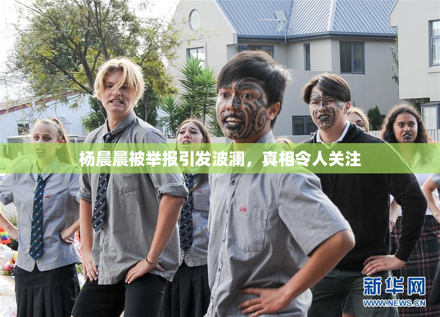 杨晨晨被举报引发波澜，真相令人关注