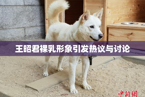 王昭君裸乳形象引发热议与讨论