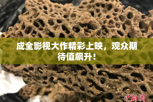 成全影视大作精彩上映，观众期待值飙升！