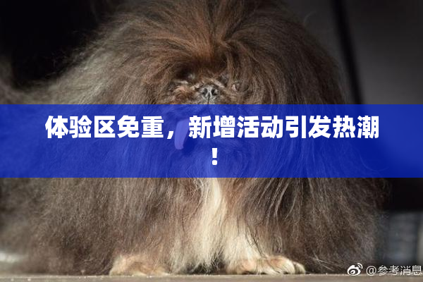 体验区免重，新增活动引发热潮！