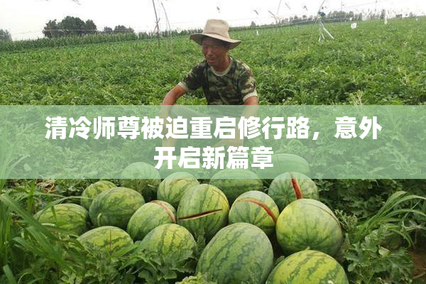 清冷师尊被迫重启修行路，意外开启新篇章