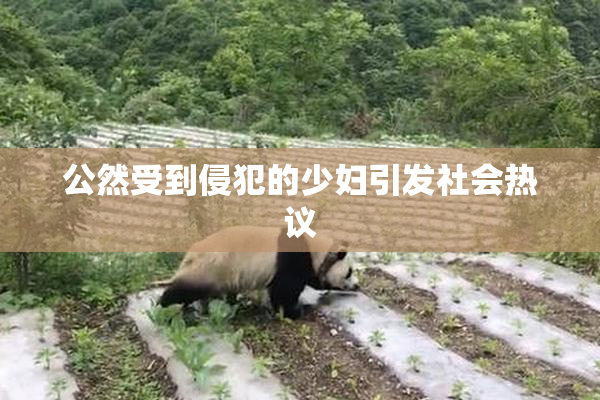 公然受到侵犯的少妇引发社会热议
