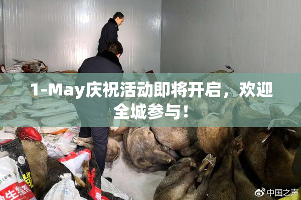 1-May庆祝活动即将开启，欢迎全城参与！