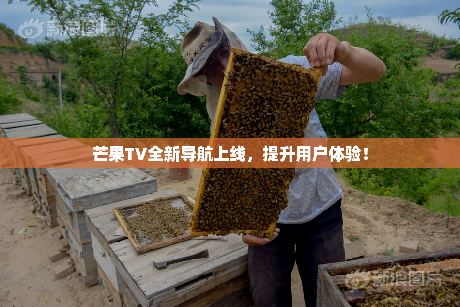 芒果TV全新导航上线，提升用户体验！