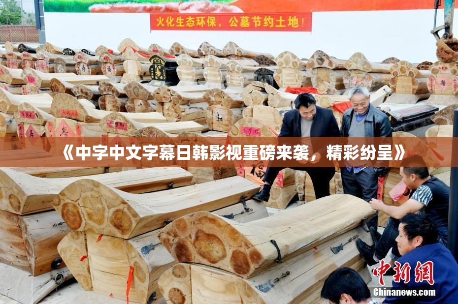 《中字中文字幕日韩影视重磅来袭，精彩纷呈》