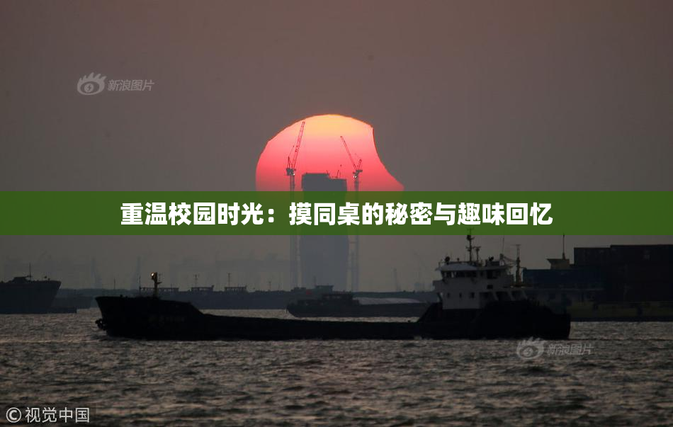 重温校园时光：摸同桌的秘密与趣味回忆