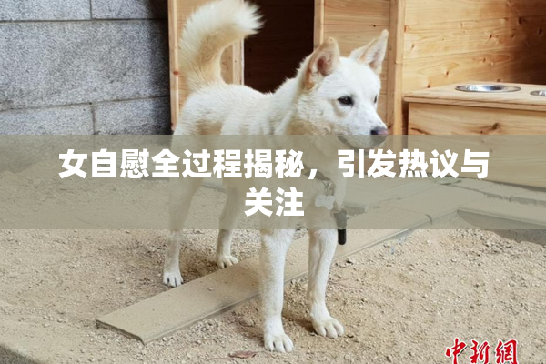 女自慰全过程揭秘，引发热议与关注