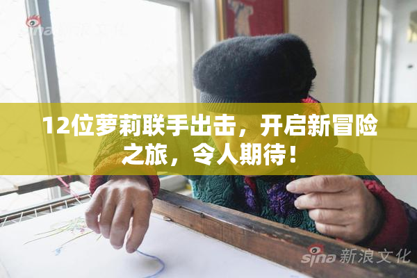 12位萝莉联手出击，开启新冒险之旅，令人期待！
