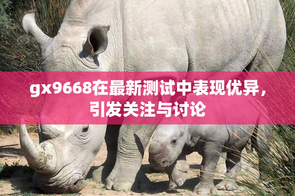 gx9668在最新测试中表现优异，引发关注与讨论