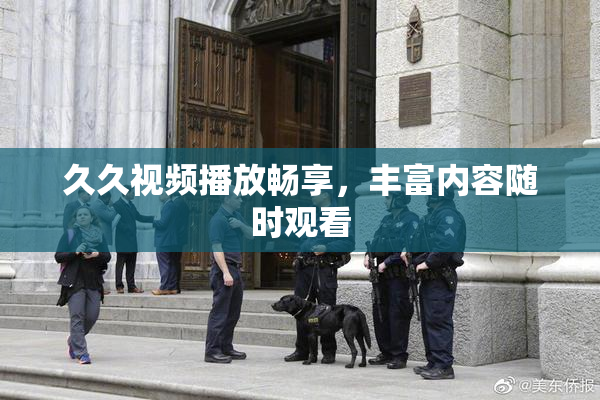 久久视频播放畅享，丰富内容随时观看