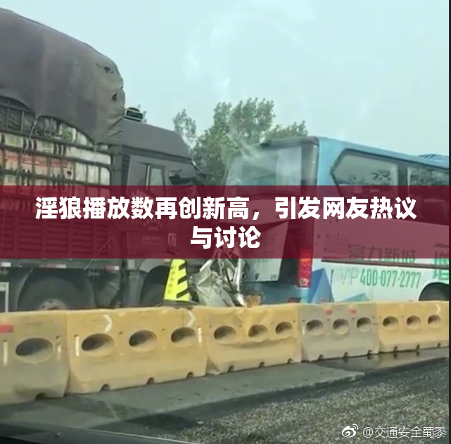 淫狼播放数再创新高，引发网友热议与讨论