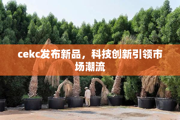 cekc发布新品，科技创新引领市场潮流