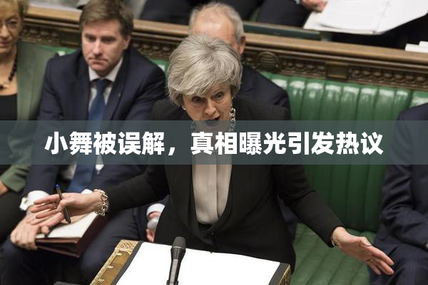 小舞被误解，真相曝光引发热议
