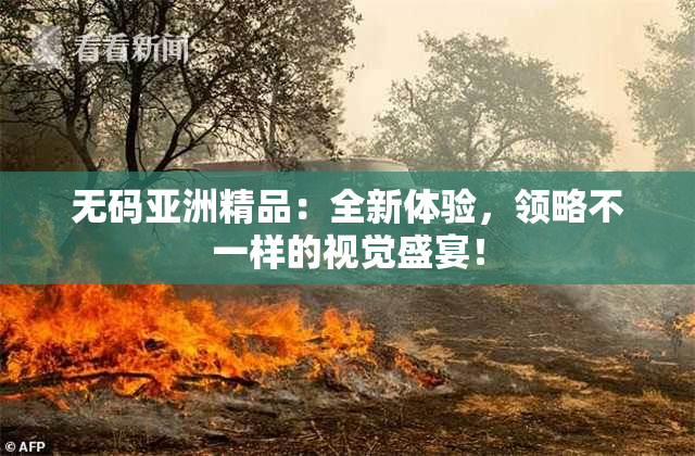 无码亚洲精品：全新体验，领略不一样的视觉盛宴！