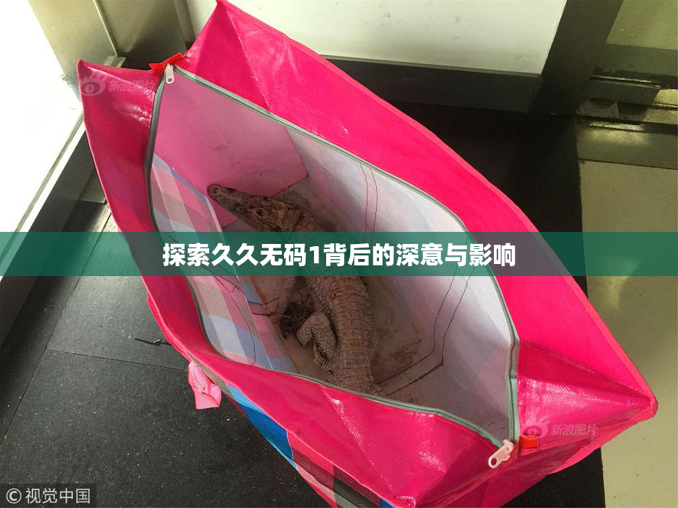 探索久久无码1背后的深意与影响