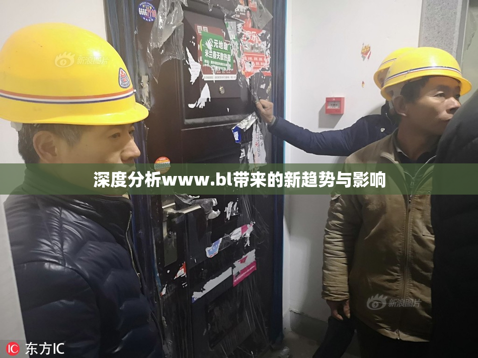 深度分析www.bl带来的新趋势与影响