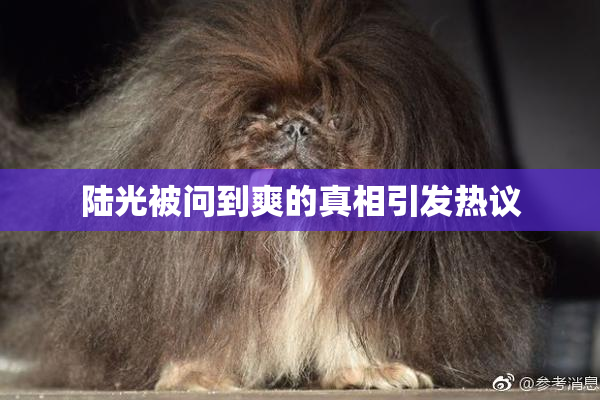 陆光被问到爽的真相引发热议