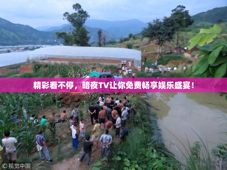 精彩看不停，暗夜TV让你免费畅享娱乐盛宴！