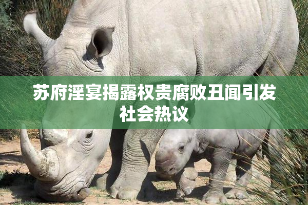 苏府淫宴揭露权贵腐败丑闻引发社会热议