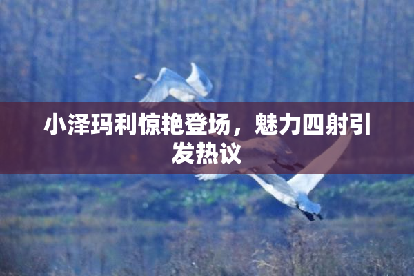 小泽玛利惊艳登场，魅力四射引发热议