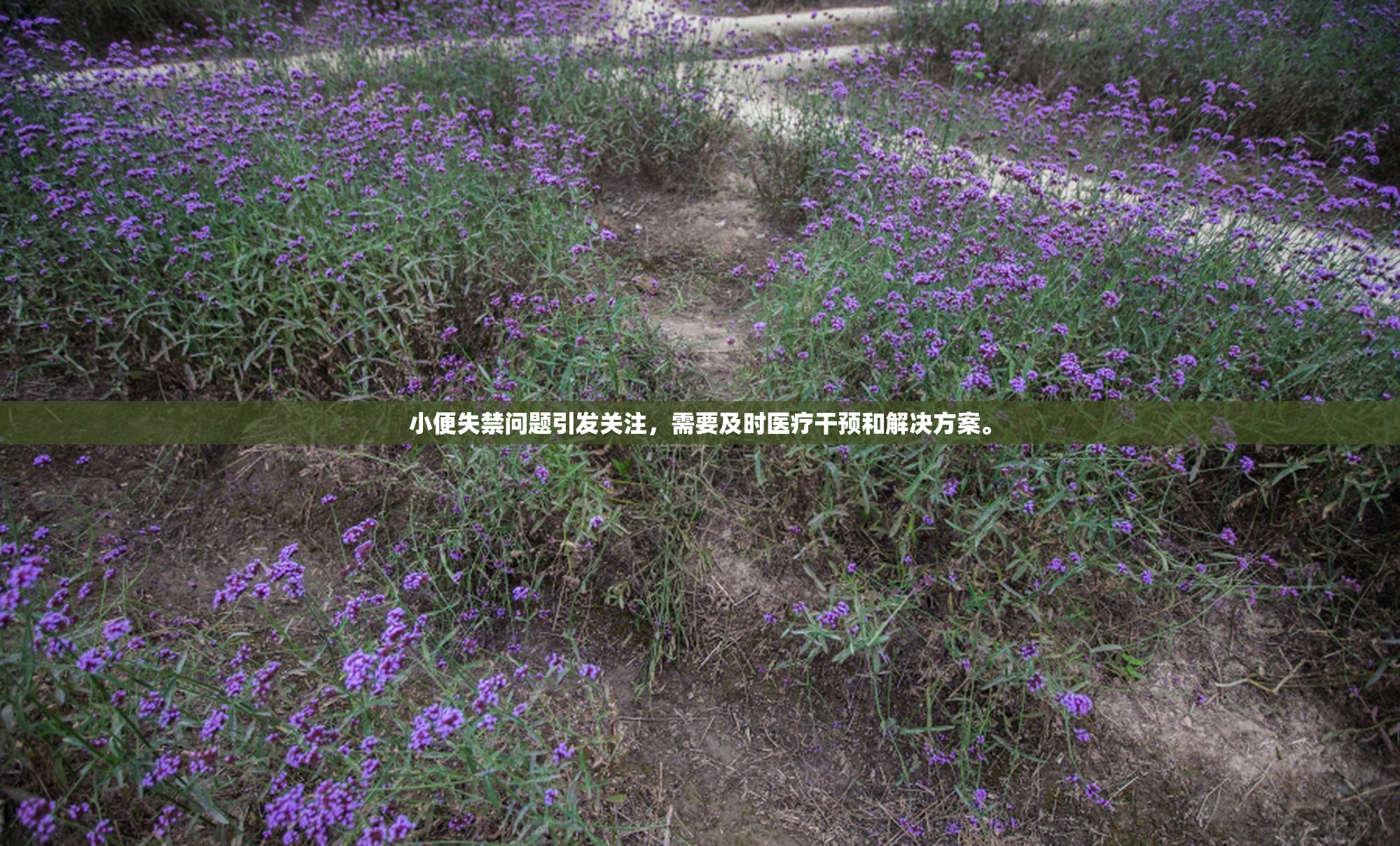 小便失禁问题引发关注，需要及时医疗干预和解决方案。