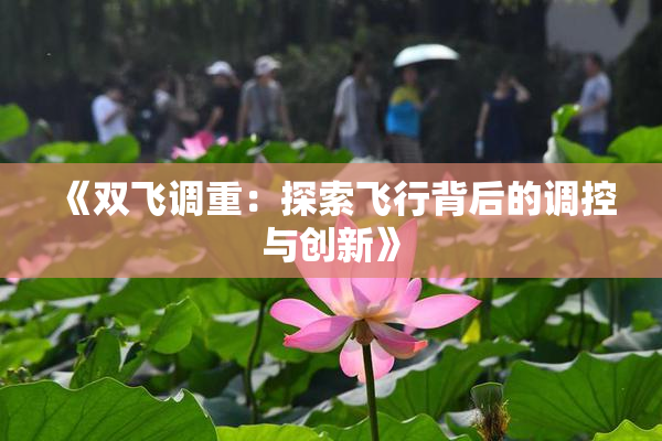 《双飞调重：探索飞行背后的调控与创新》