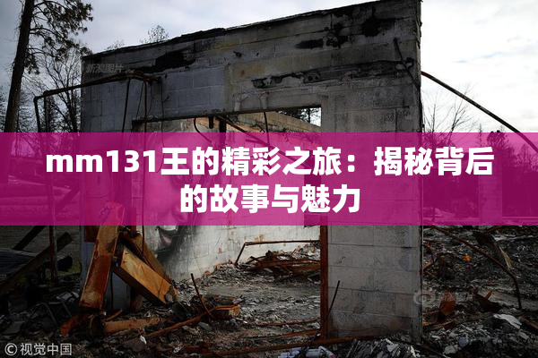 mm131王的精彩之旅：揭秘背后的故事与魅力
