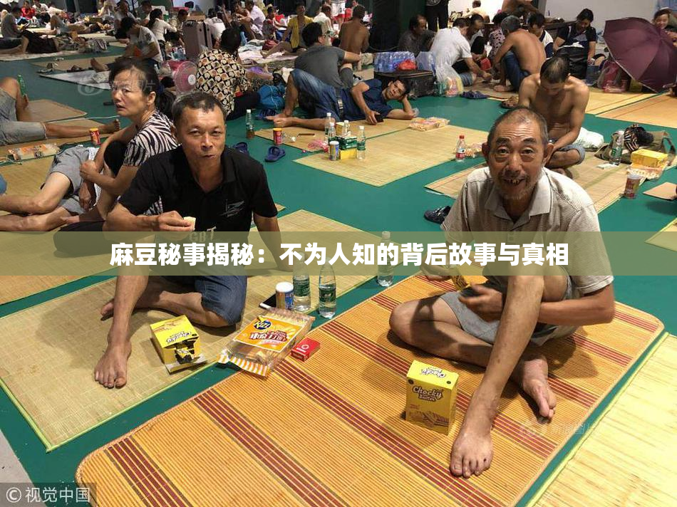 麻豆秘事揭秘：不为人知的背后故事与真相