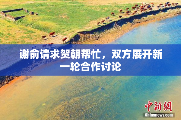 谢俞请求贺朝帮忙，双方展开新一轮合作讨论