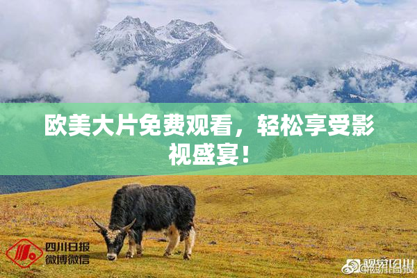 欧美大片免费观看，轻松享受影视盛宴！