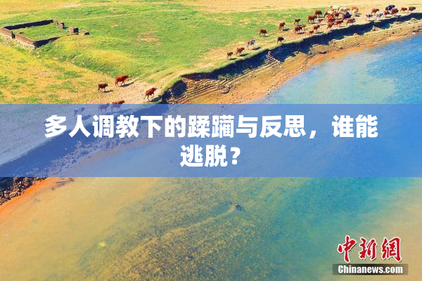 多人调教下的蹂躏与反思，谁能逃脱？