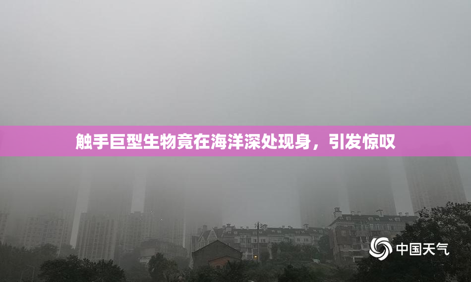 触手巨型生物竟在海洋深处现身，引发惊叹