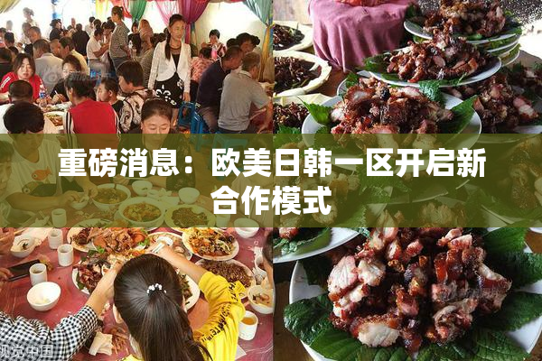 重磅消息：欧美日韩一区开启新合作模式