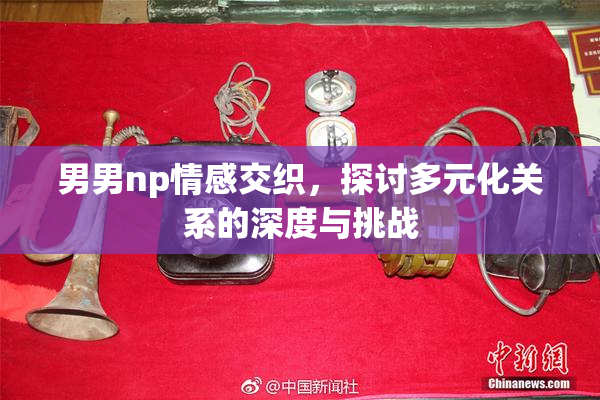 男男np情感交织，探讨多元化关系的深度与挑战