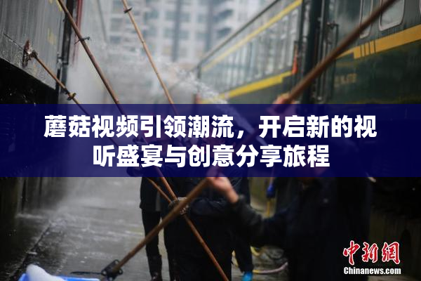 蘑菇视频引领潮流，开启新的视听盛宴与创意分享旅程