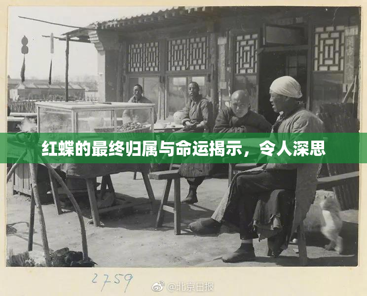 红蝶的最终归属与命运揭示，令人深思