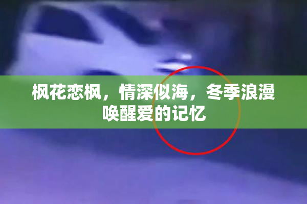 枫花恋枫，情深似海，冬季浪漫唤醒爱的记忆