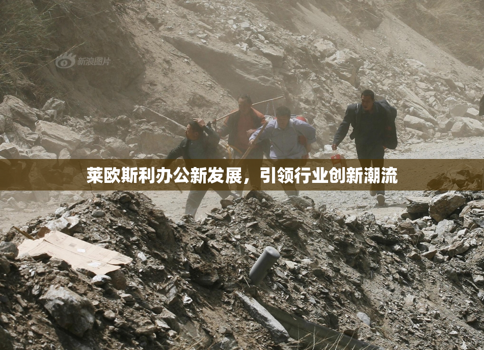 莱欧斯利办公新发展，引领行业创新潮流