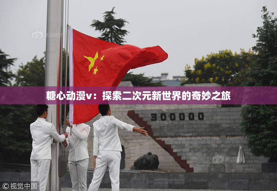 糖心动漫v：探索二次元新世界的奇妙之旅
