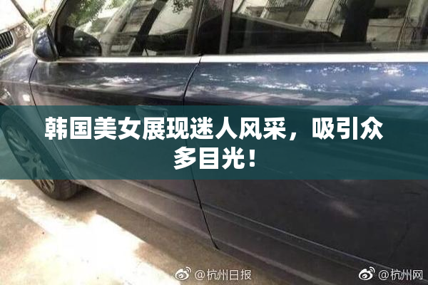 韩国美女展现迷人风采，吸引众多目光！
